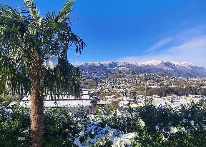 With A View And Free Parking Apartment *